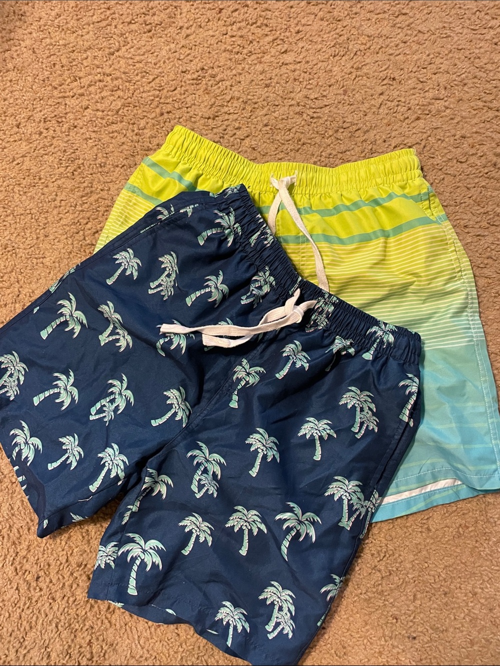Pair of 2 boys swimsuits
